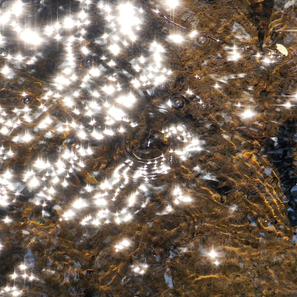 Heavy Sequin Embroidery Fabric - Image 2